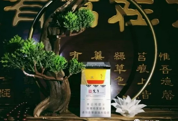 野外烟熏房制作全过程图